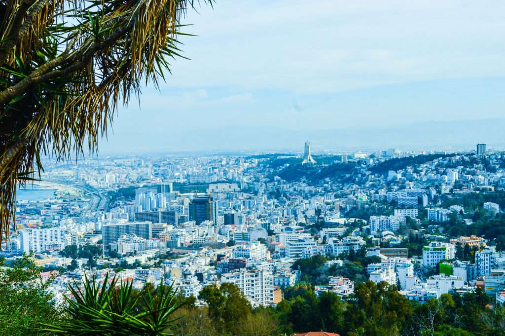 fixer in alger